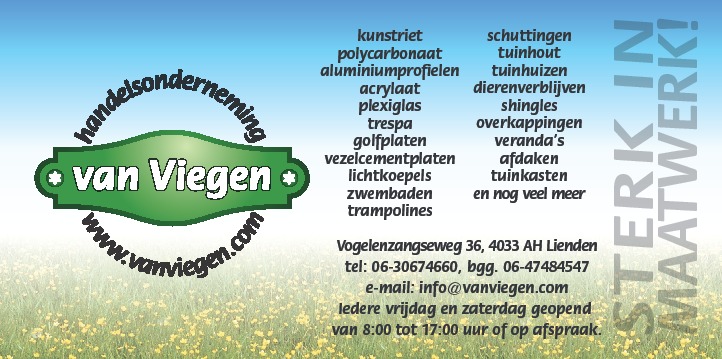 Handelsonderneming van Viegen